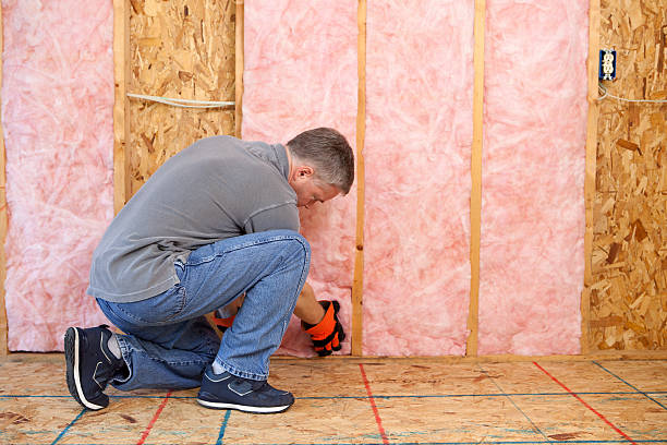 Insulation Inspection Services in West Burlington, IA