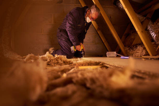 Best Insulation Contractors for Homes  in West Burlington, IA